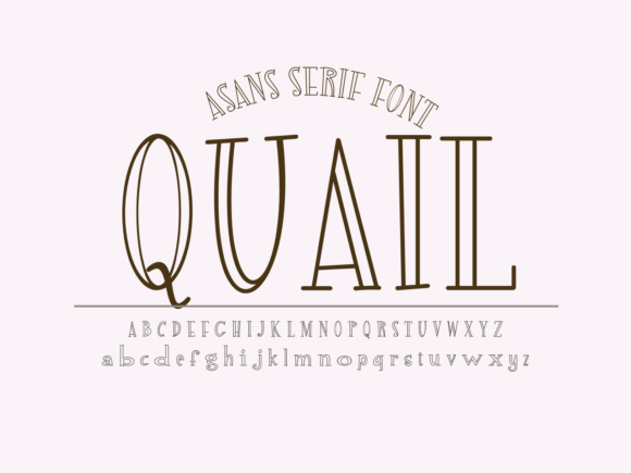 Quail: A Fun and Playful Display Font for Creative Projects